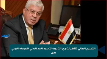 التعليم العالي تنتظر نتائج الثانوية لتحديد الحد الأدنى للمرحلة الأولى الآن